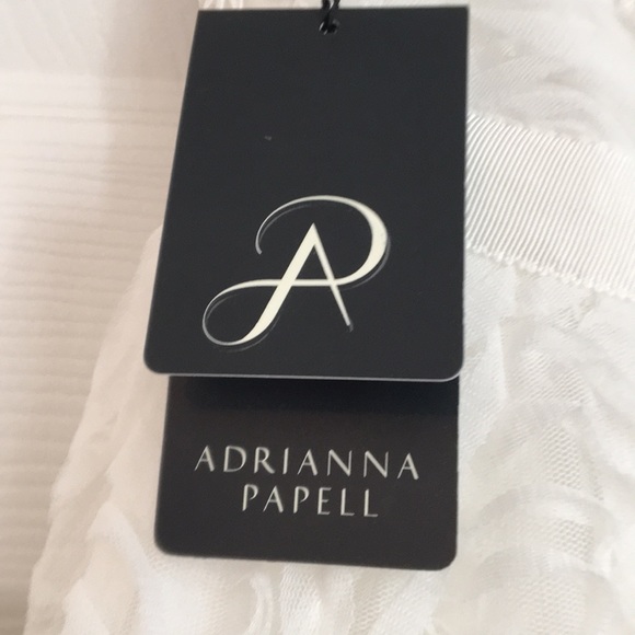 Adrianna Papell Wedding Dress - Picture 7 of 9